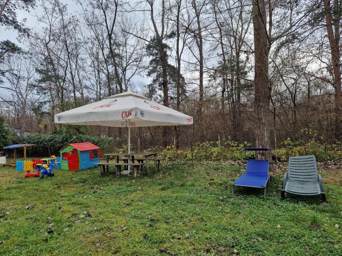 Pensiunea Carpe Diem Râmnicu Vâlcea Εξωτερικό φωτογραφία